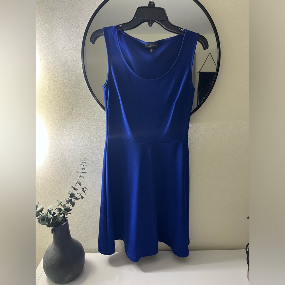 The Limited Blue Dress